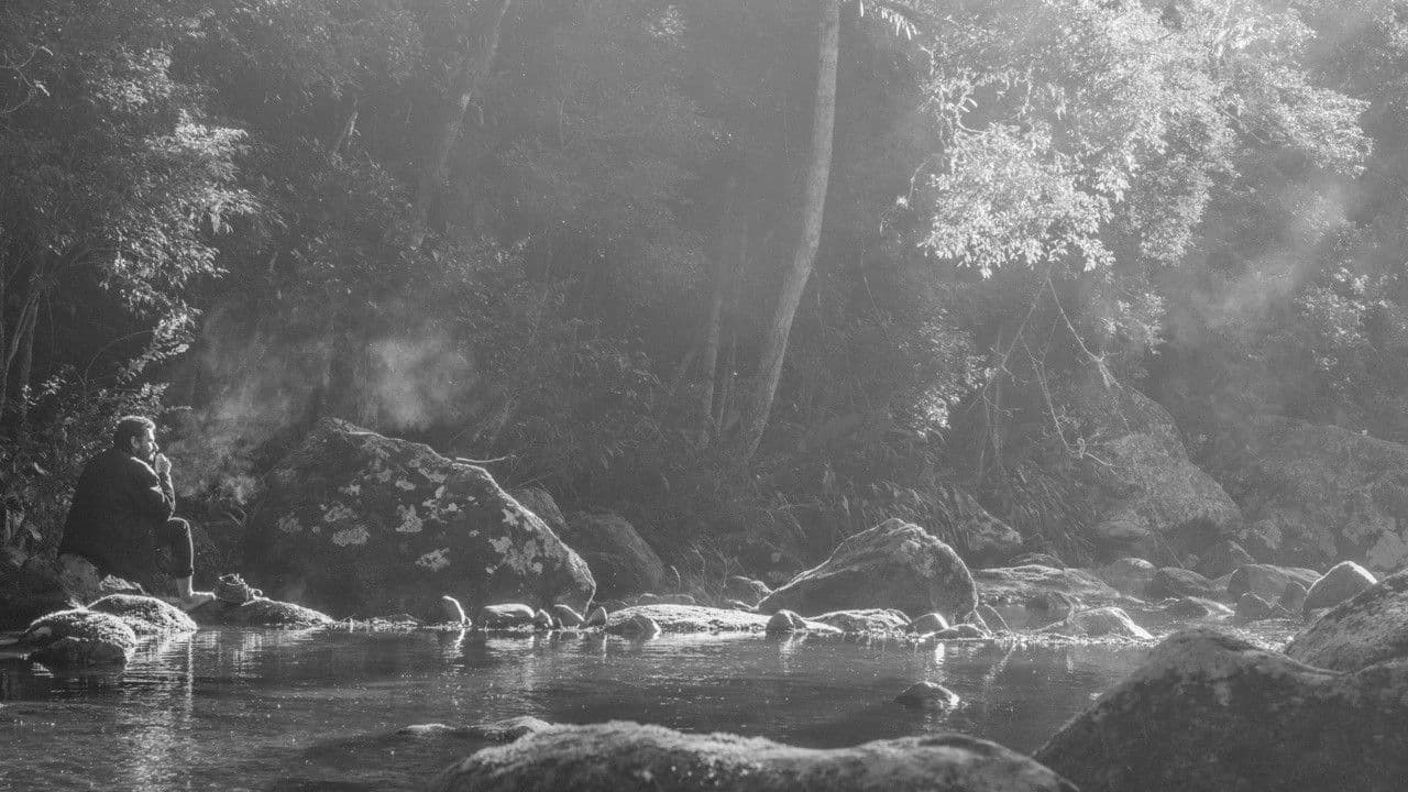 O Orvalho e o Rioの背景画像