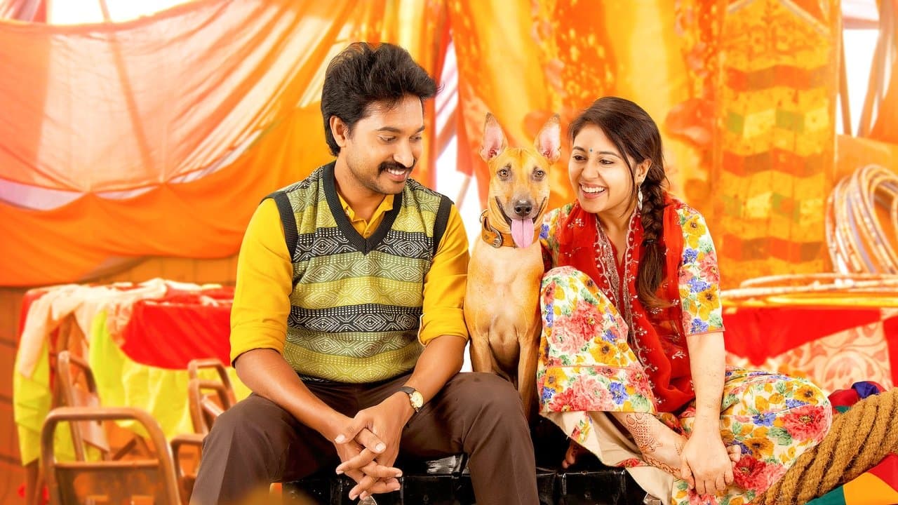 மெஹந்தி சர்க்கஸ்の背景画像