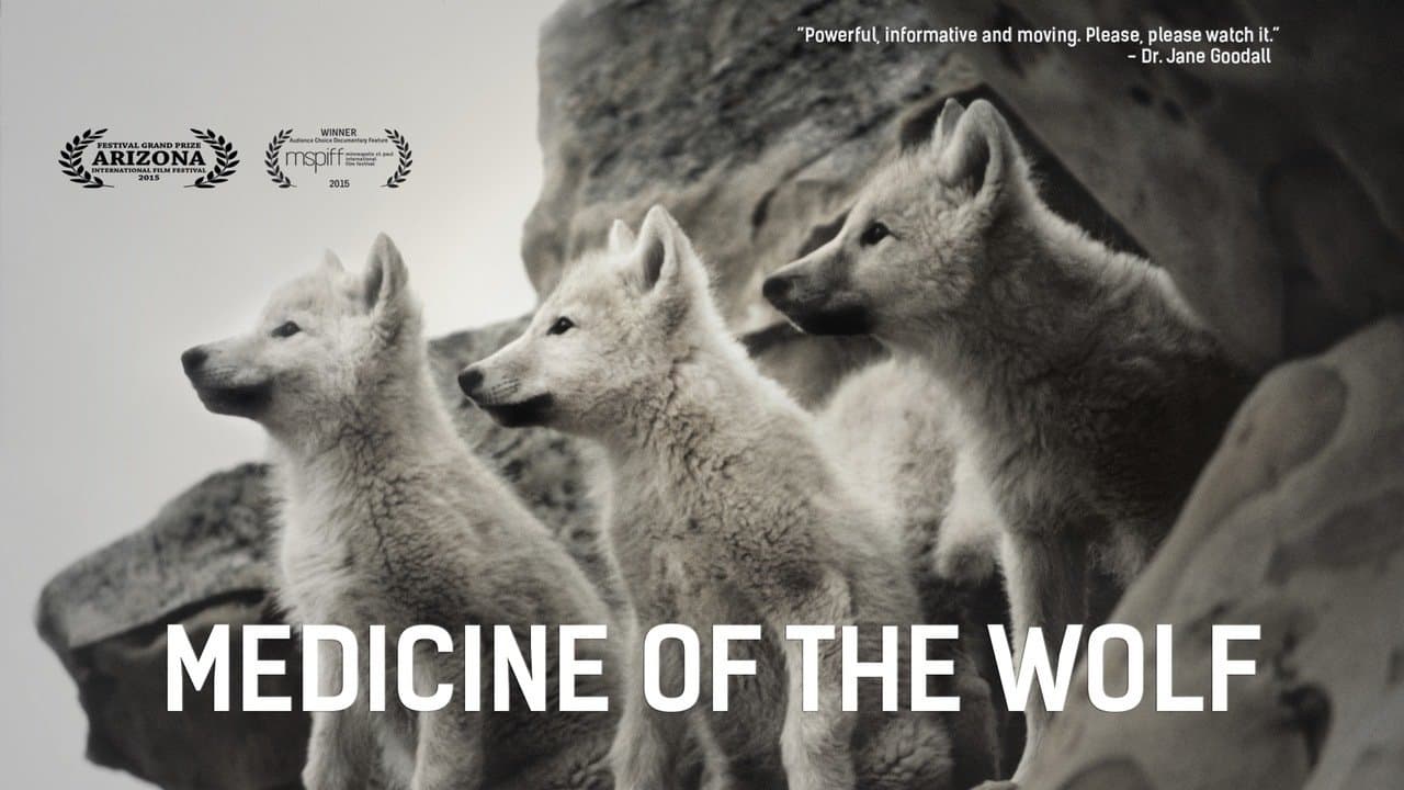 Medicine of the Wolfの背景画像