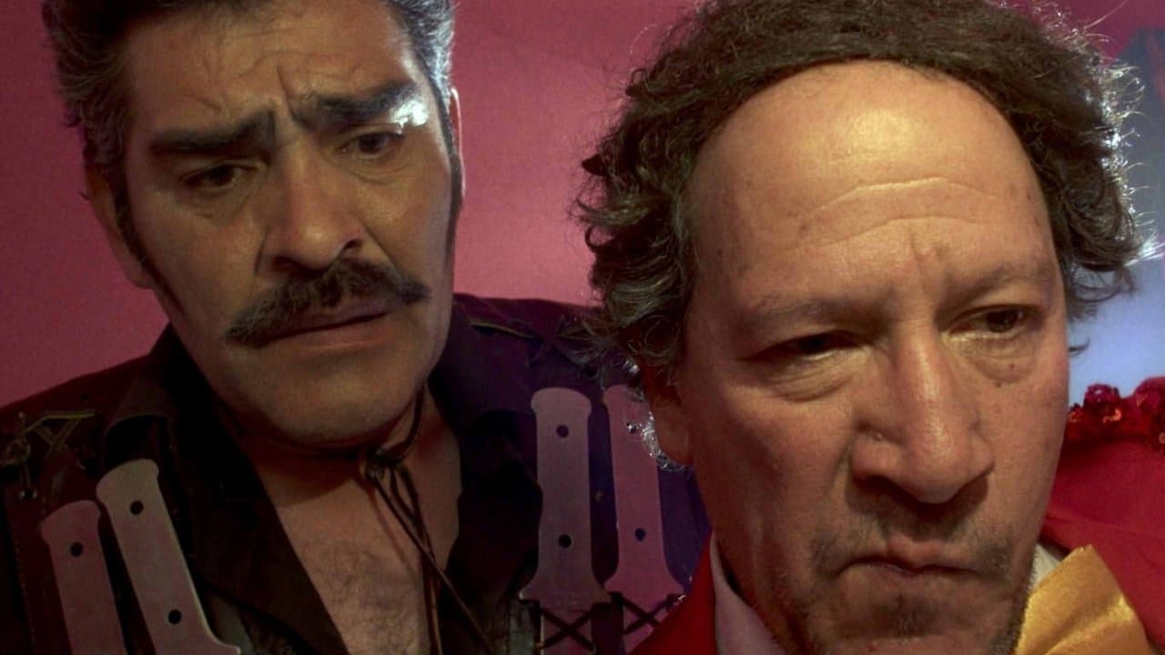 Cirqoの背景画像