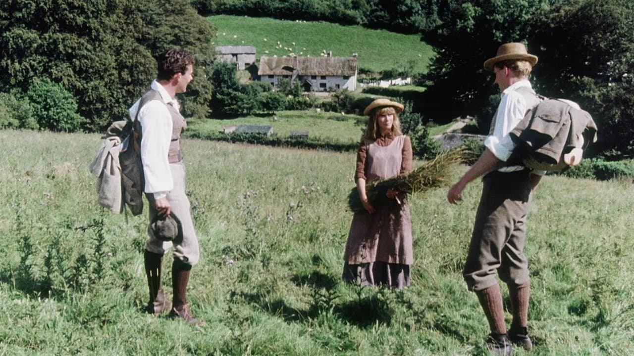 A Summer Storyの背景画像