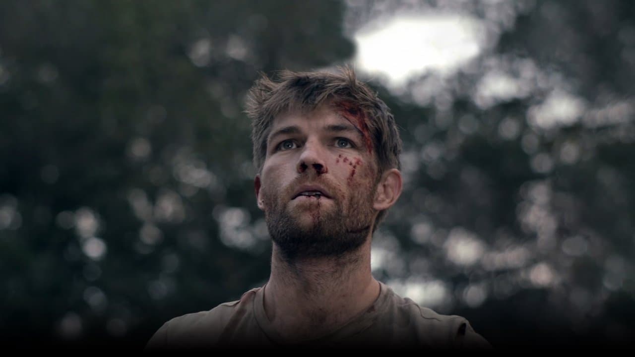 The Clearingの背景画像