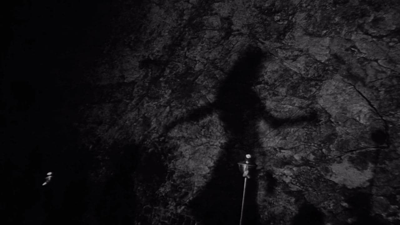 Night Tideの背景画像