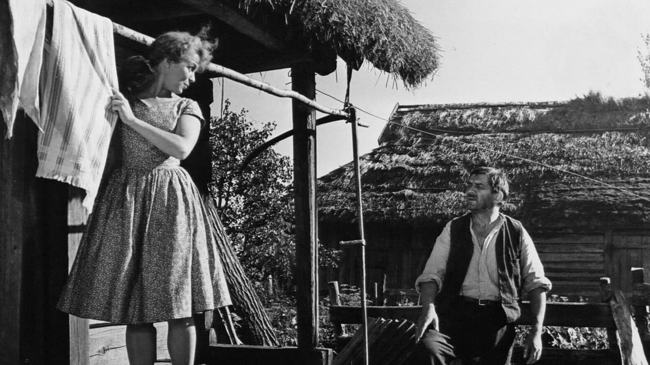 Svetimiの背景画像