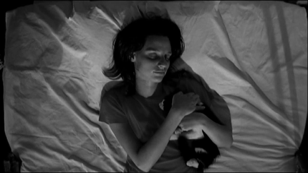 Πες Στη Μορφίνη Ακόμα Την Ψάχνωの背景画像