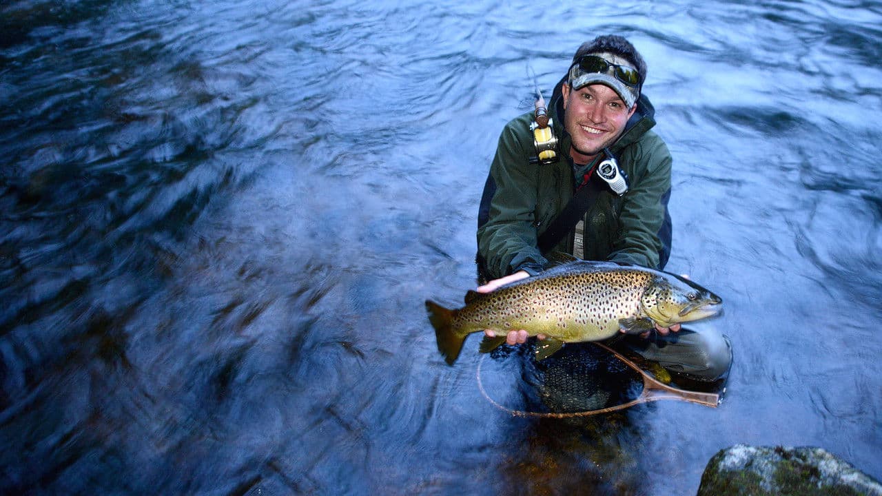 King Fishers: Battle Of The Nordicsの背景画像