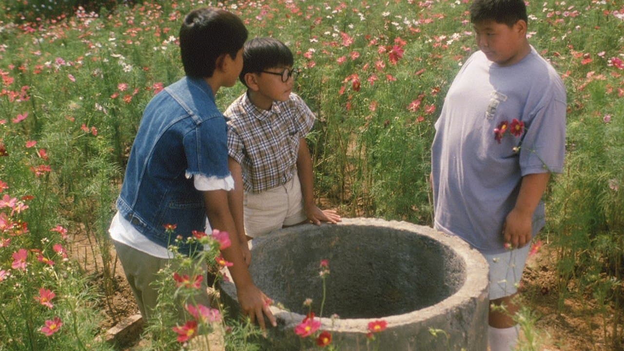 夏の庭の背景画像