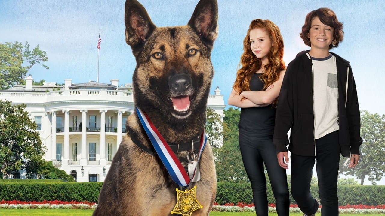 Max 2: White House Heroの背景画像