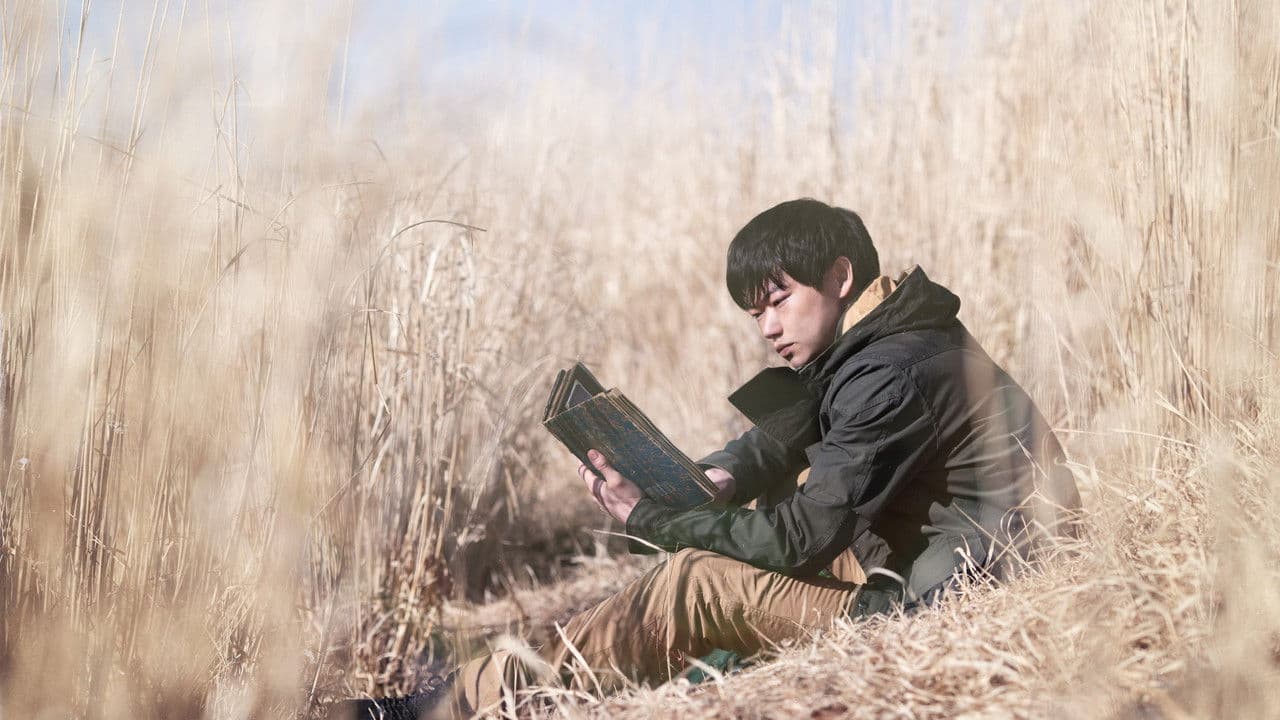 リング・ワンダリングの背景画像