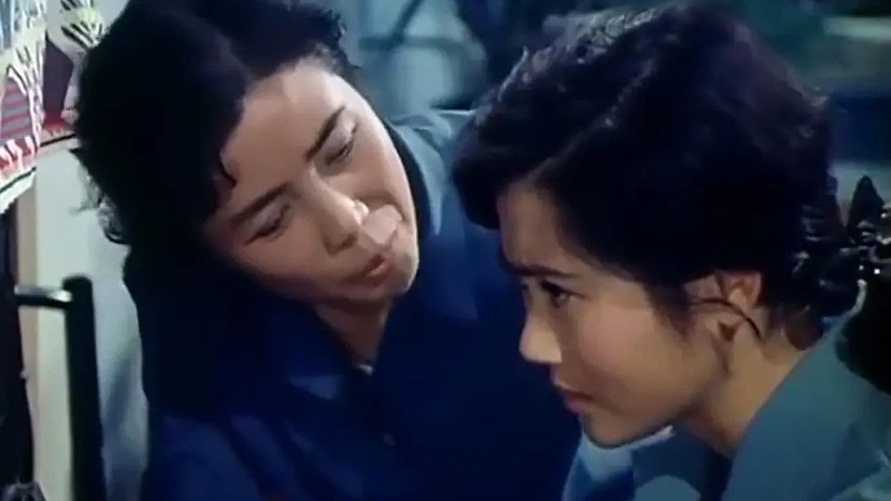 飞行交响乐の背景画像