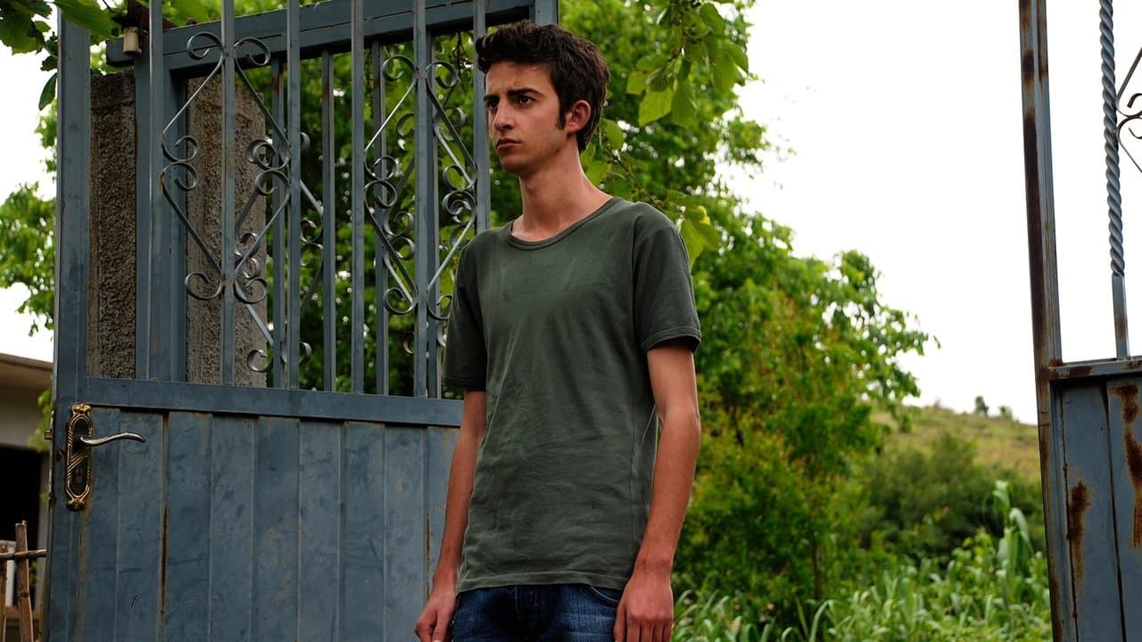 The Forgiveness of Bloodの背景画像