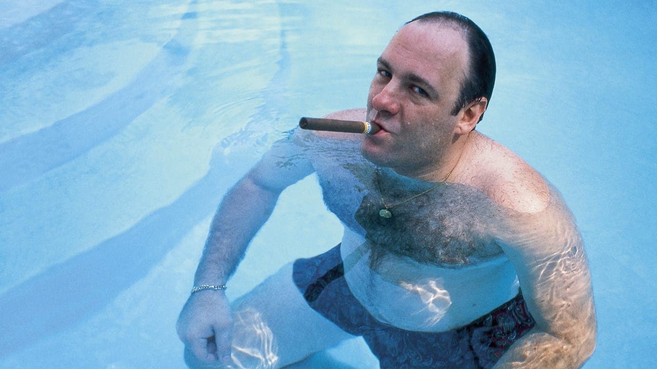 Wise Guy: David Chase and The Sopranosの背景画像