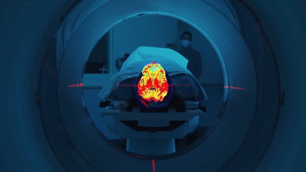 I'm Not Crazy, I'm Sickの背景画像