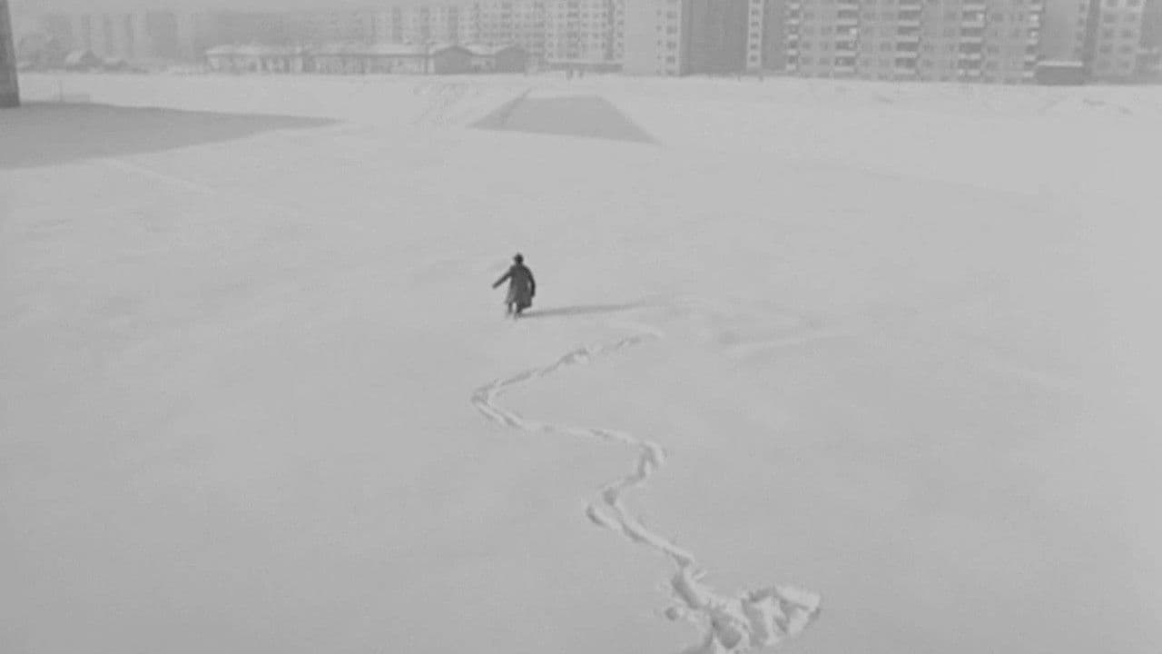 Патекаの背景画像