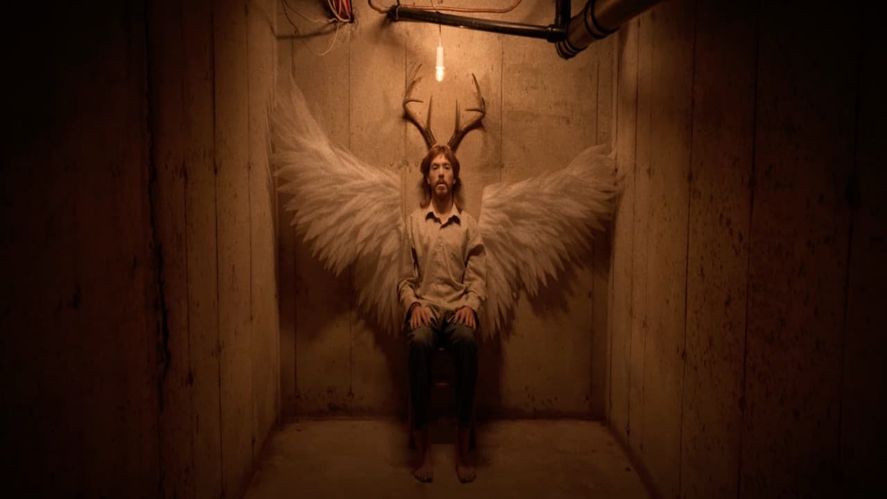 Cervidéの背景画像