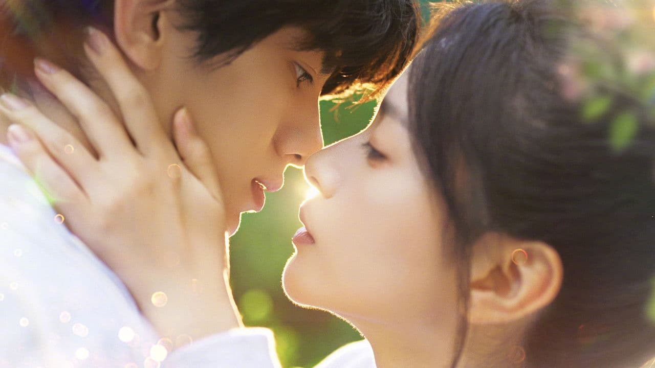 秦好与时鸣の背景画像