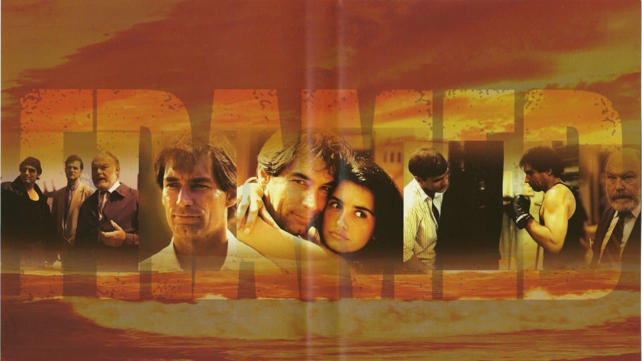 Framedの背景画像