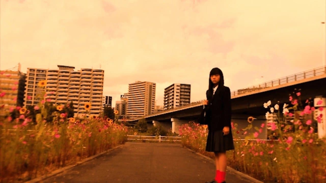 親知らずの背景画像