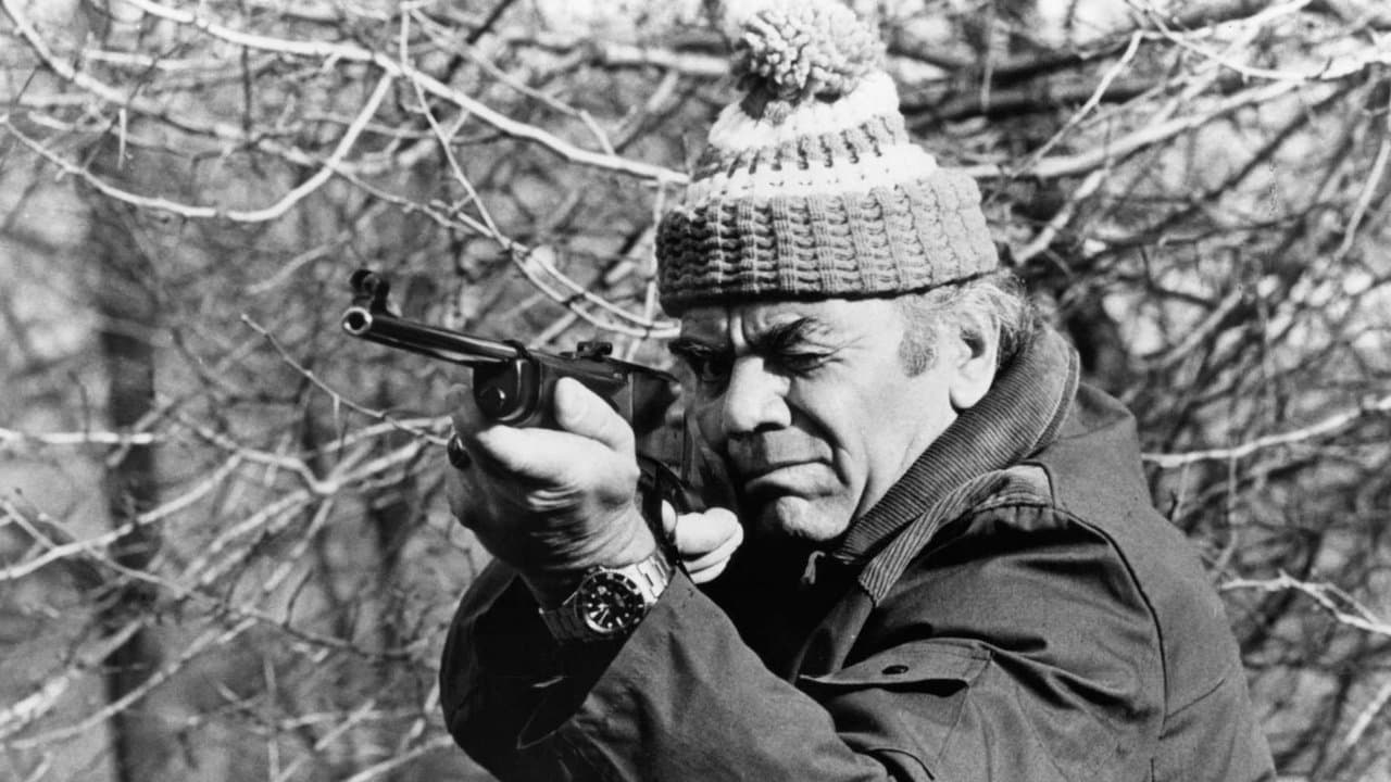 Shootの背景画像