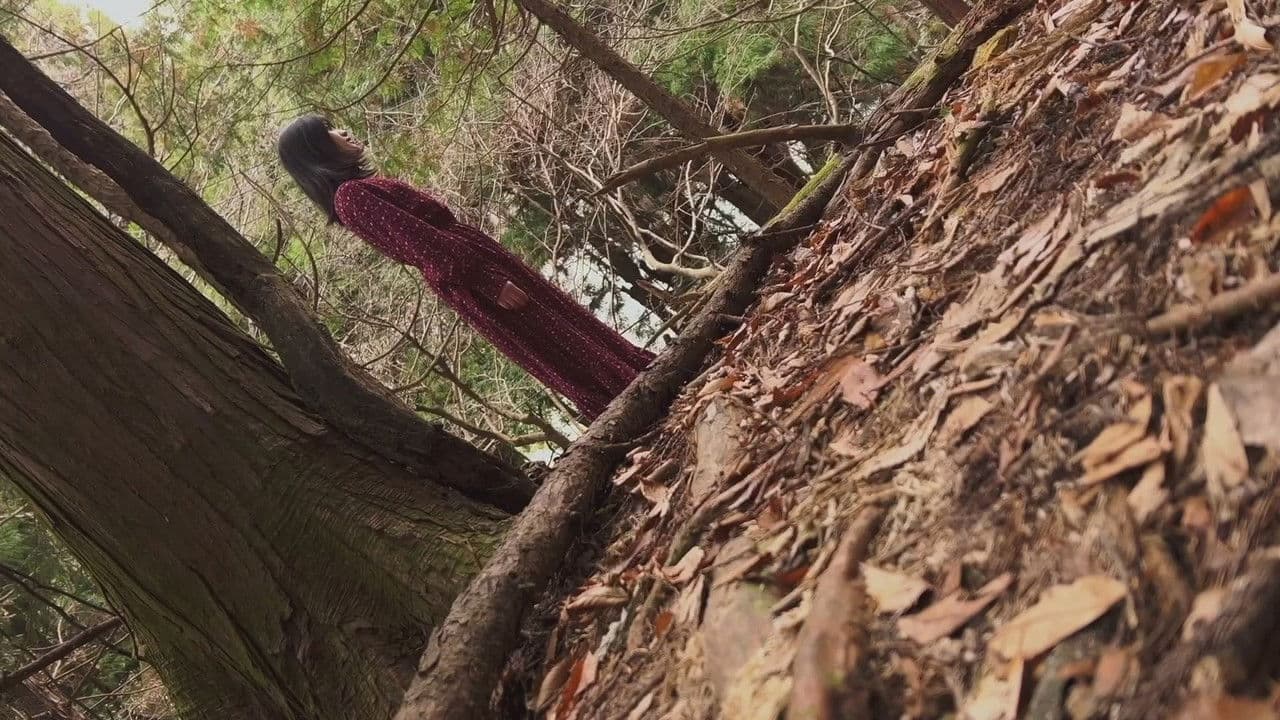 白石晃士の決して送ってこないで下さいの背景画像