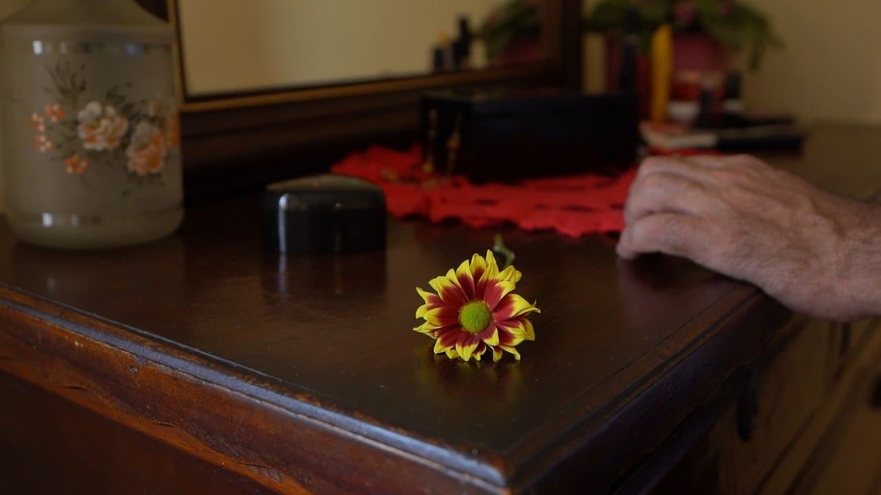 Antes da Primaveraの背景画像