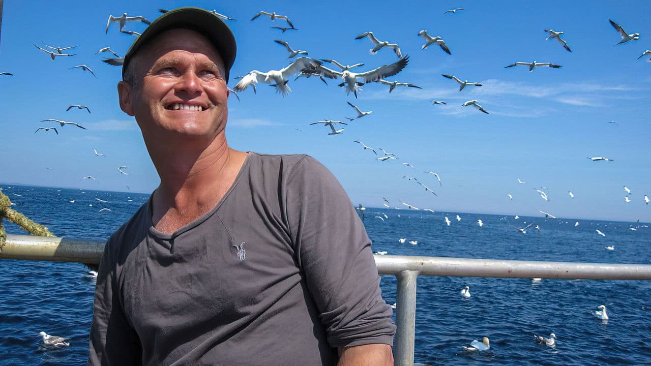 Simon King's Shetland Diariesの背景画像