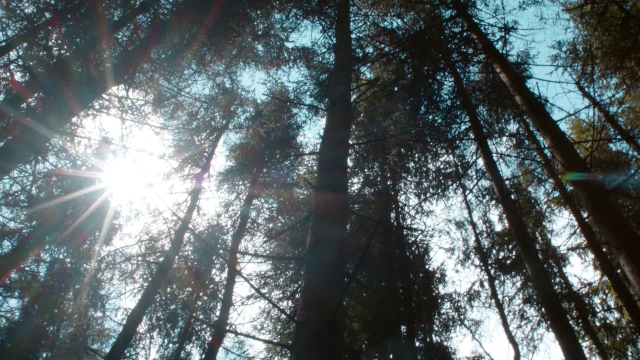 Syriaの背景画像