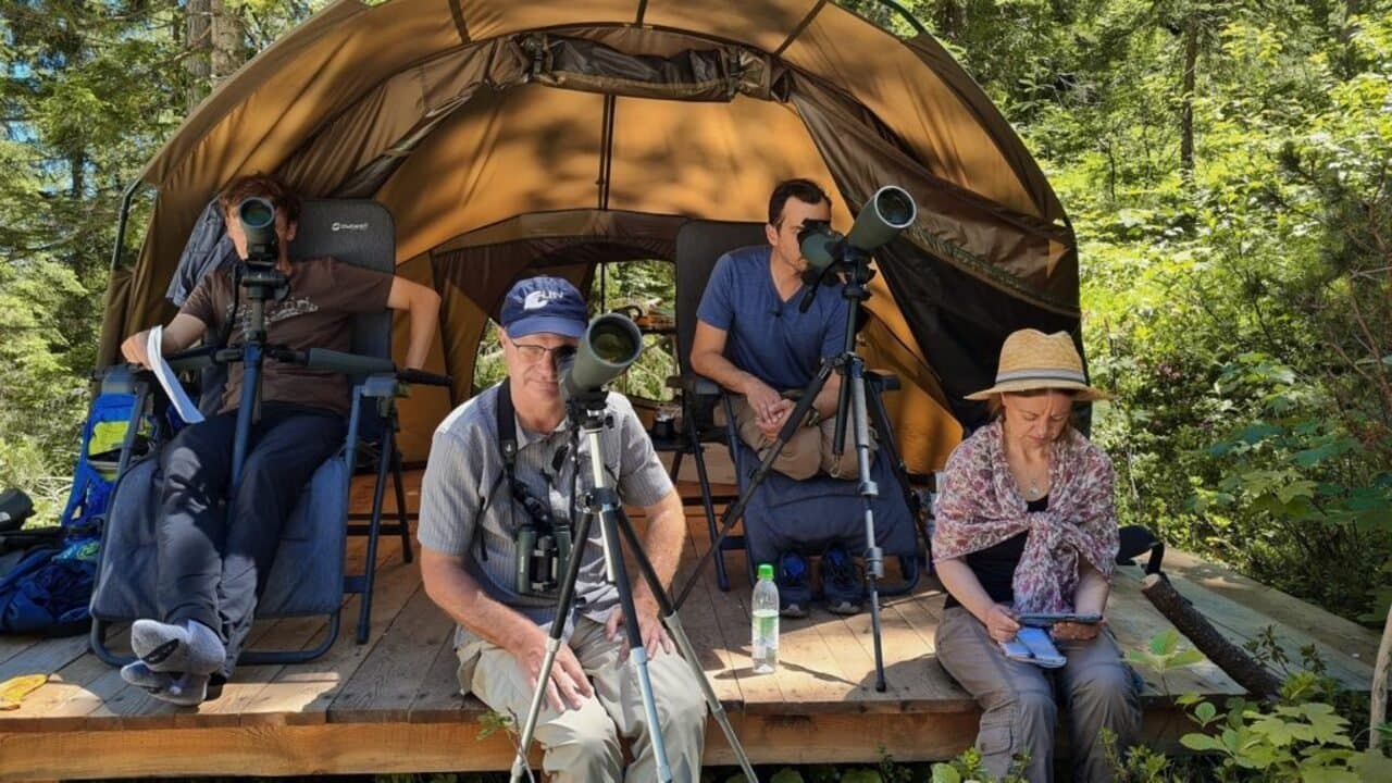 Vogelperspektivenの背景画像