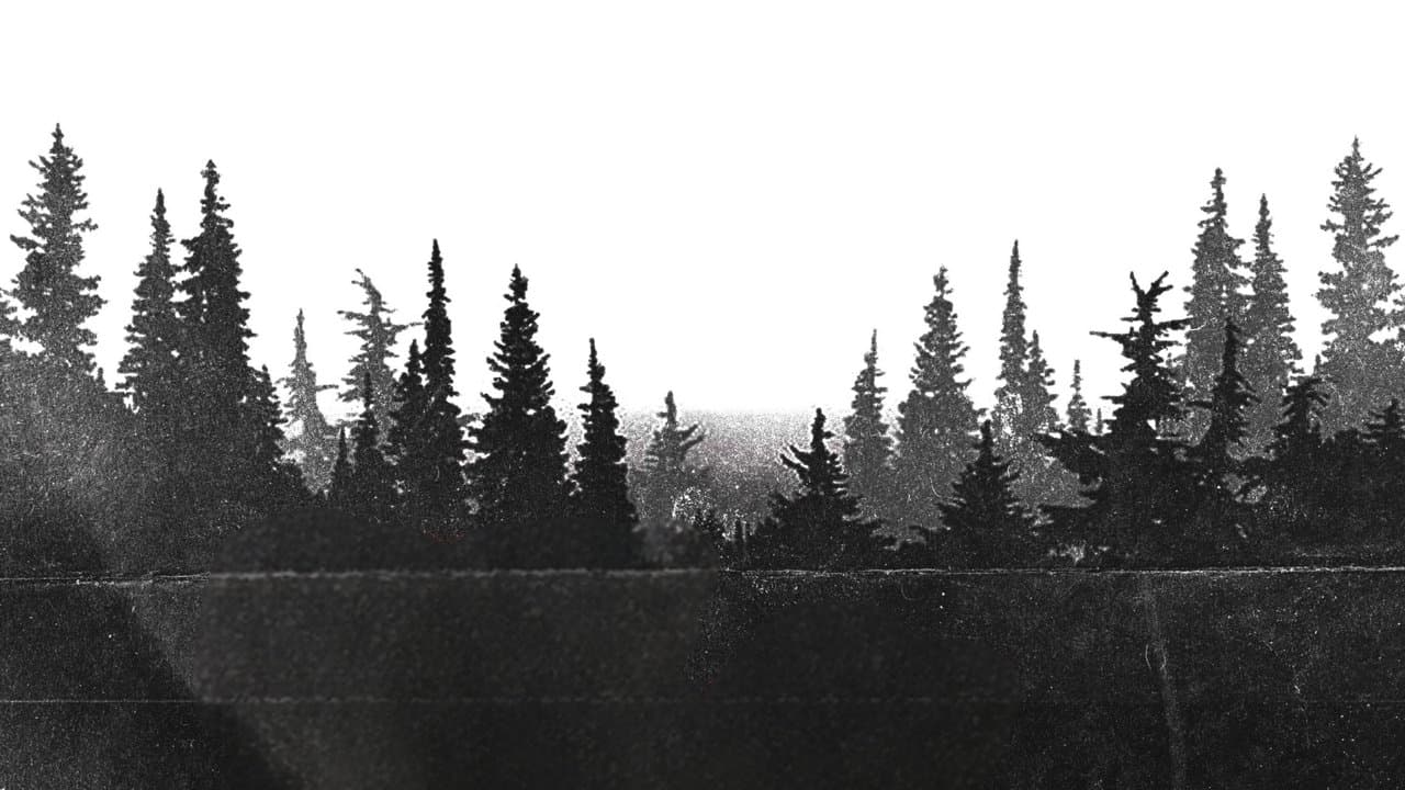 Night Shootの背景画像