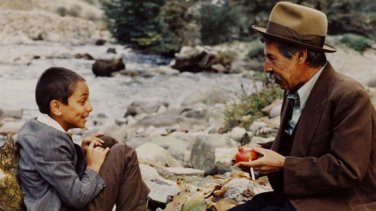 بی‌بی چلچلهの背景画像