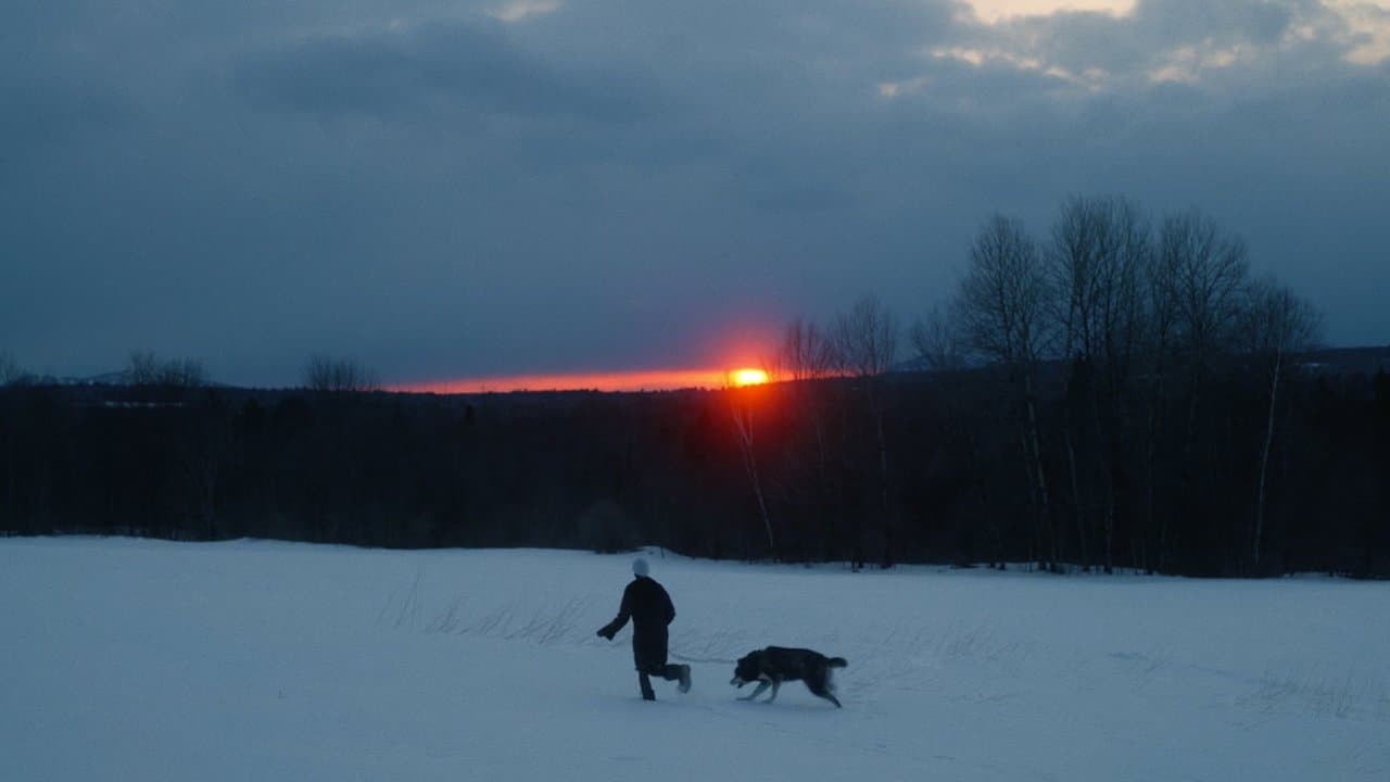 Siriusの背景画像