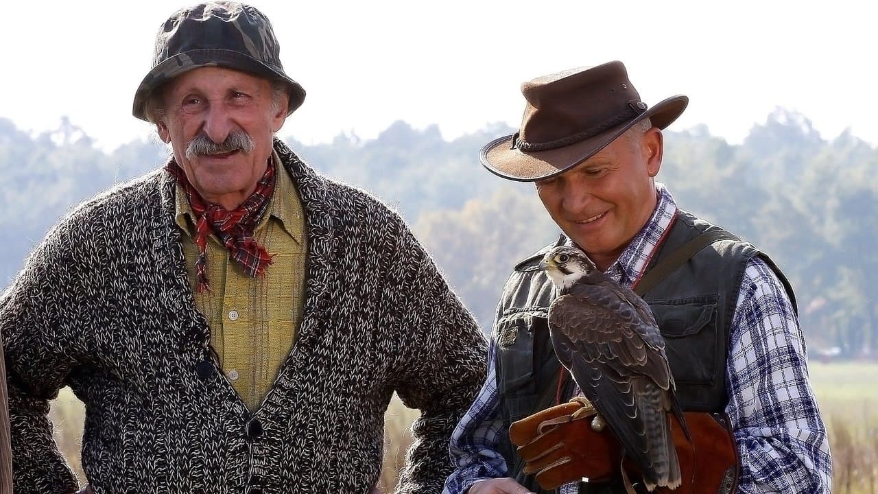 Hotel pod żyrafą i nosorożcemの背景画像