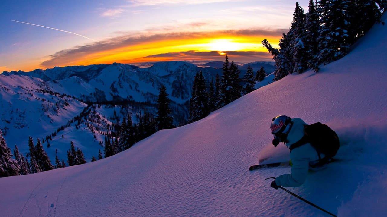 The Way I See Itの背景画像