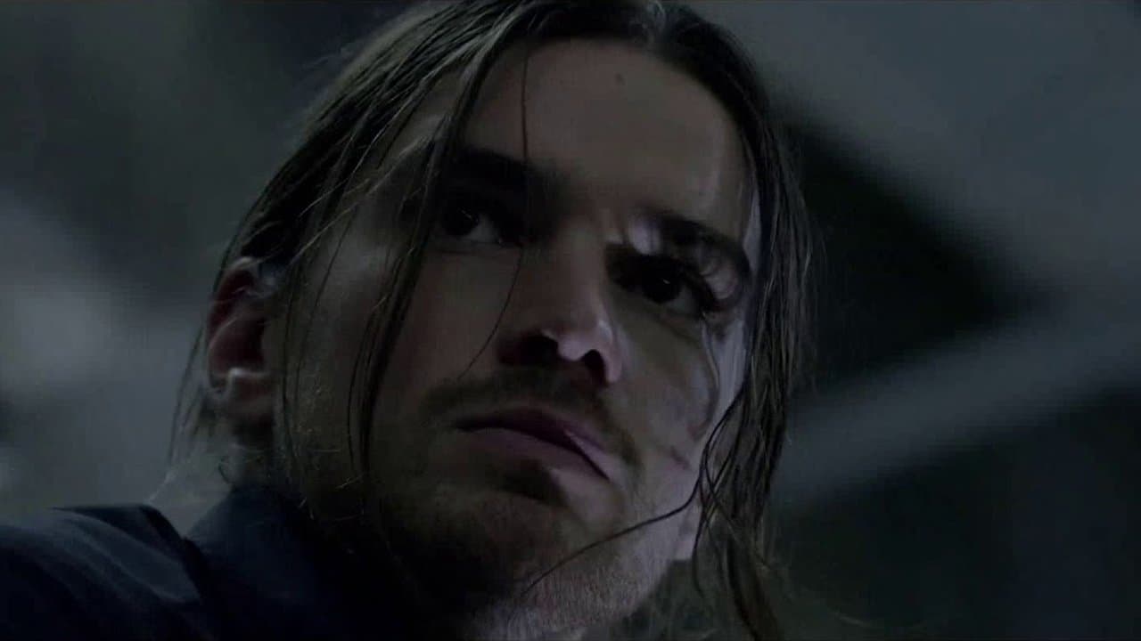 The Wheelの背景画像