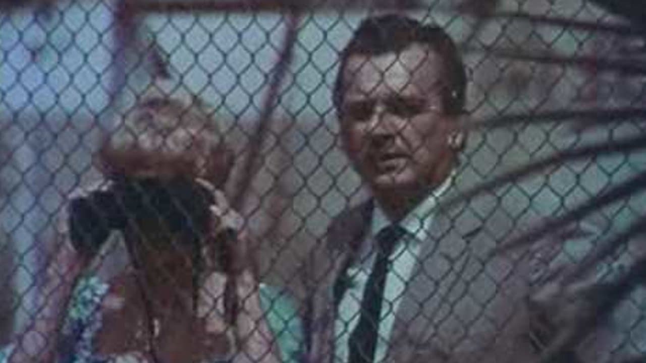 El magnífico Tony Carreraの背景画像