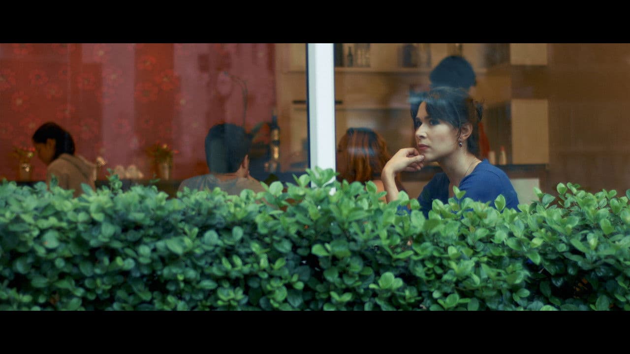 Temperoの背景画像