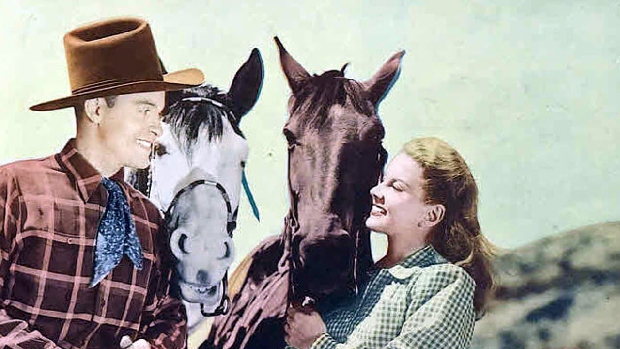 Swing in the Saddleの背景画像