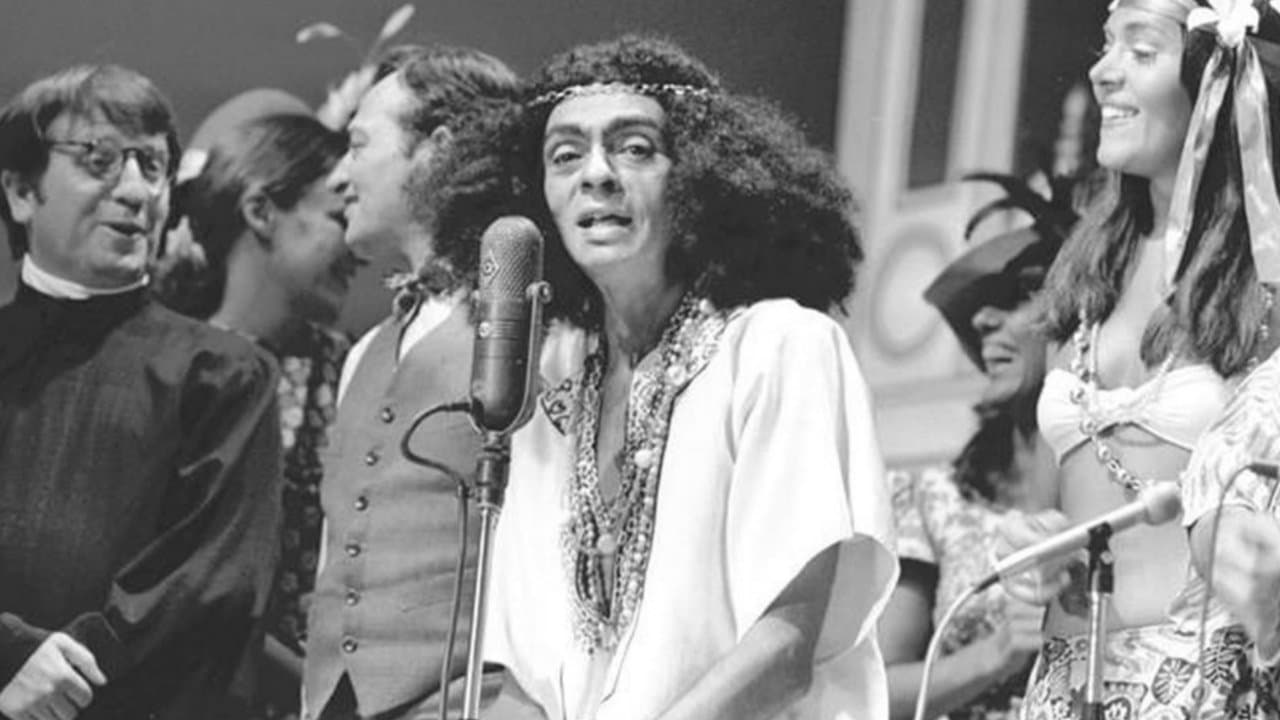 Chico Cityの背景画像