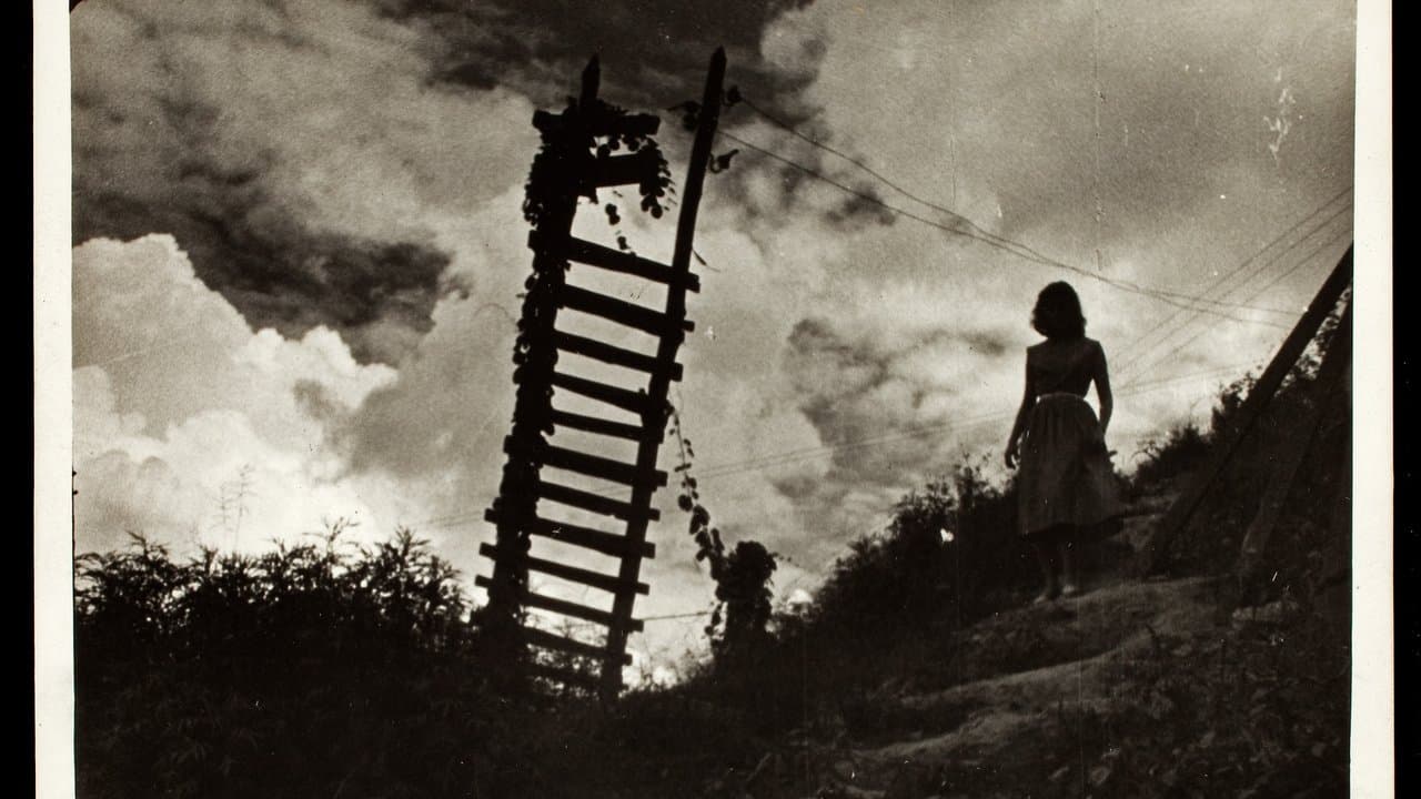 O Gigante de Pedraの背景画像