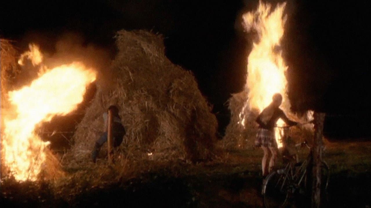 小さな悪の華の背景画像