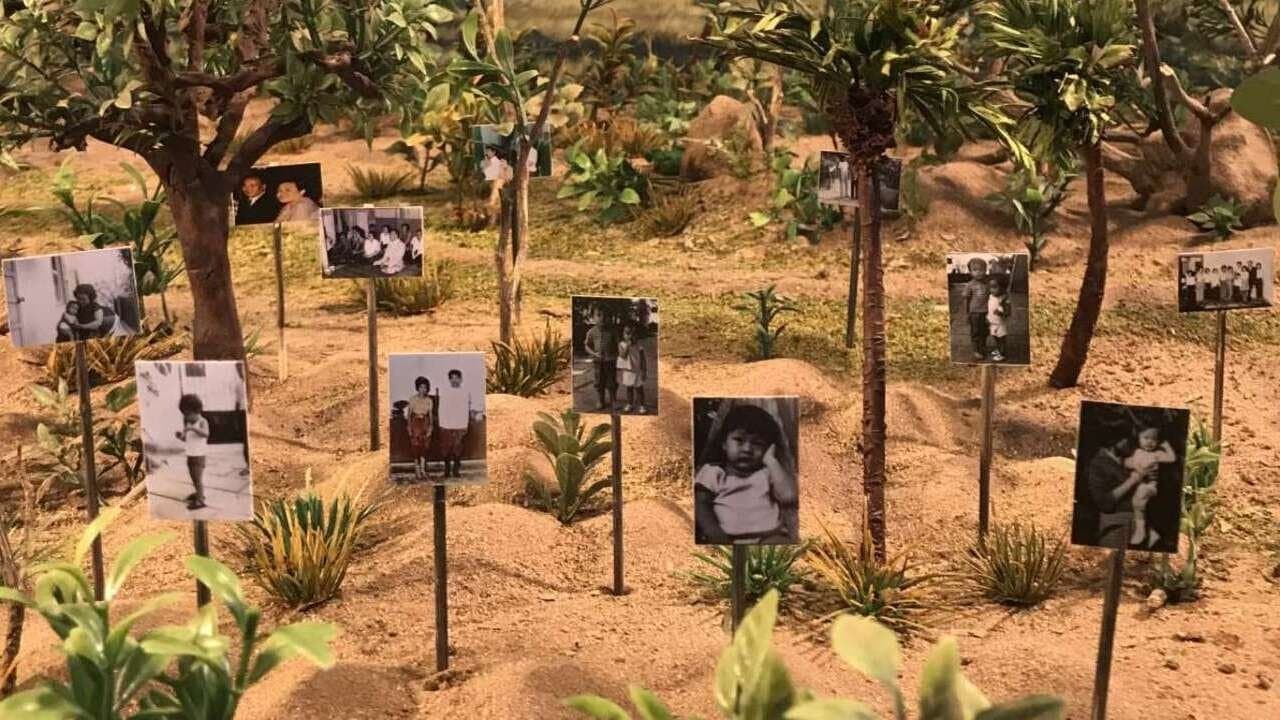 Les tombeaux sans nomsの背景画像