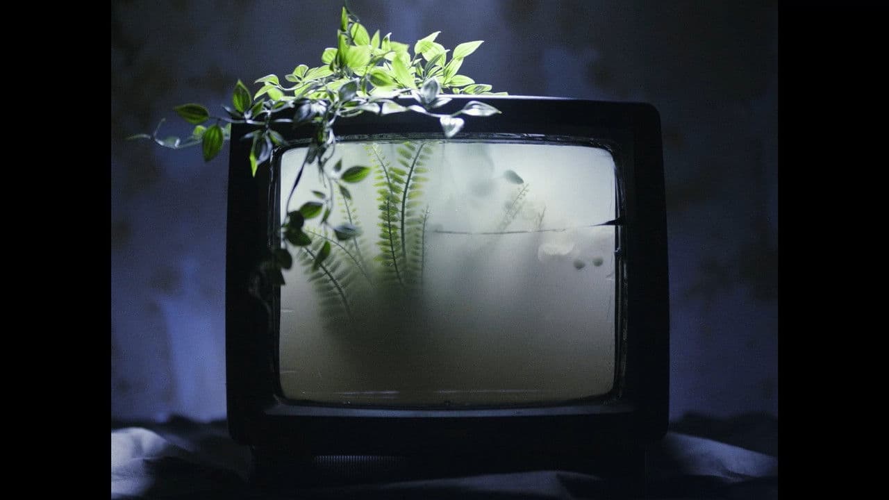 What the Water Gave Usの背景画像