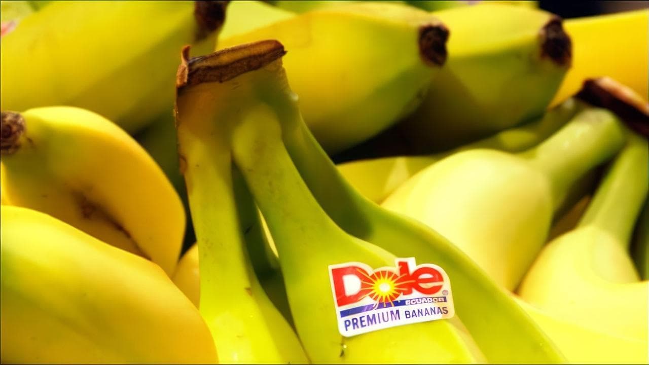 Big Boys Gone Bananas!*の背景画像