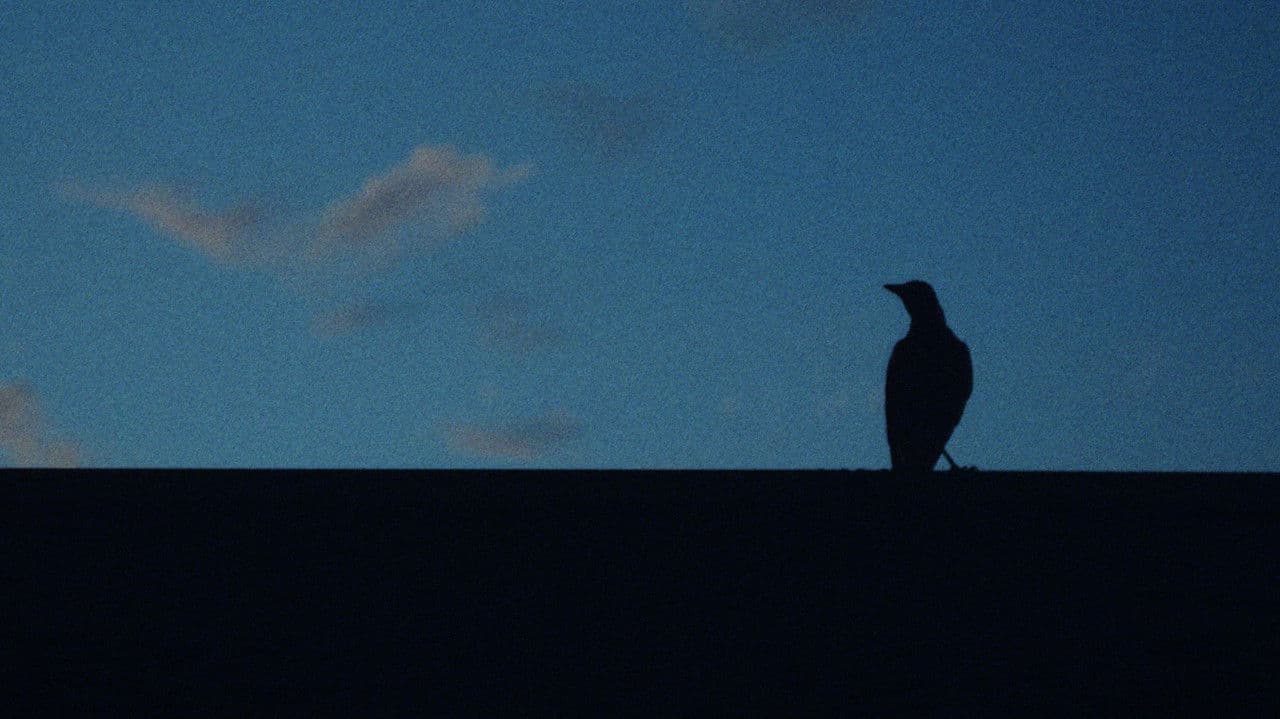 A Sign of Thingsの背景画像