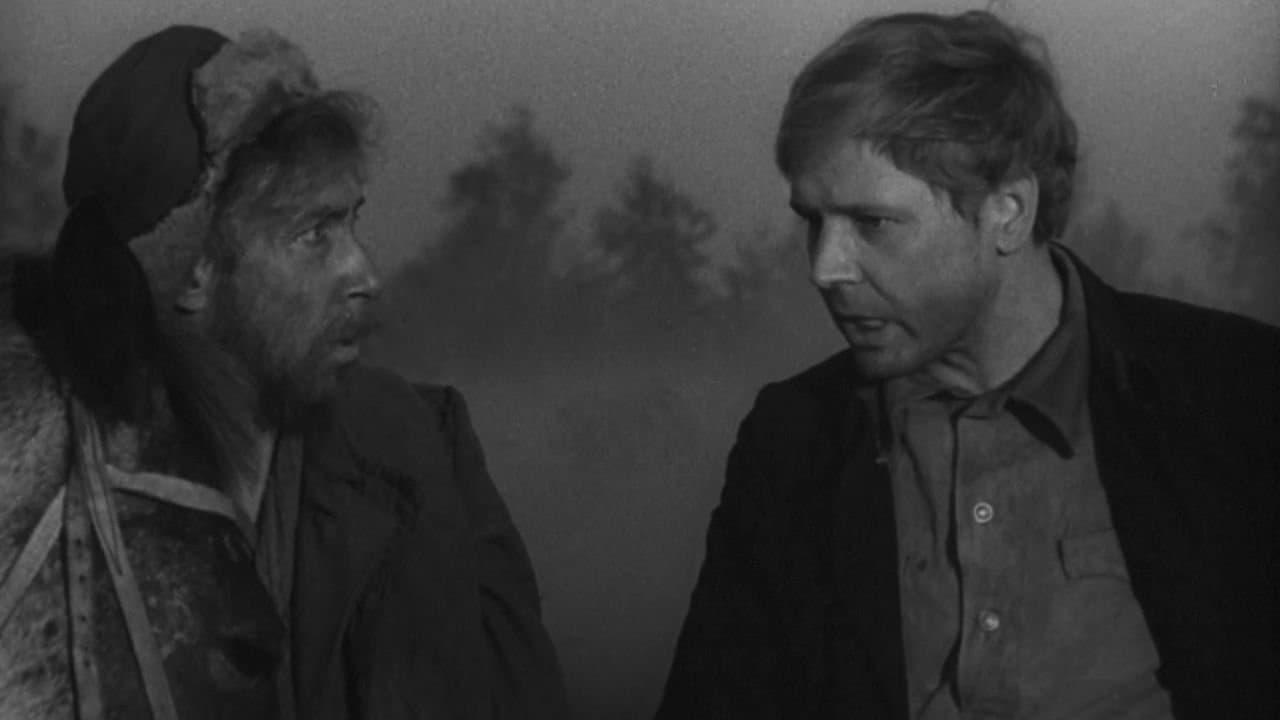 Волчья стаяの背景画像