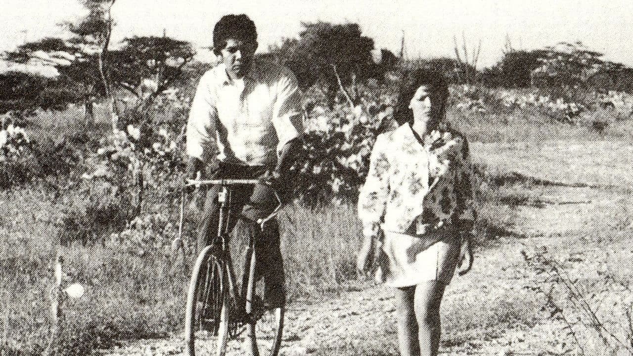 Maracaibo Petroleum Companyの背景画像