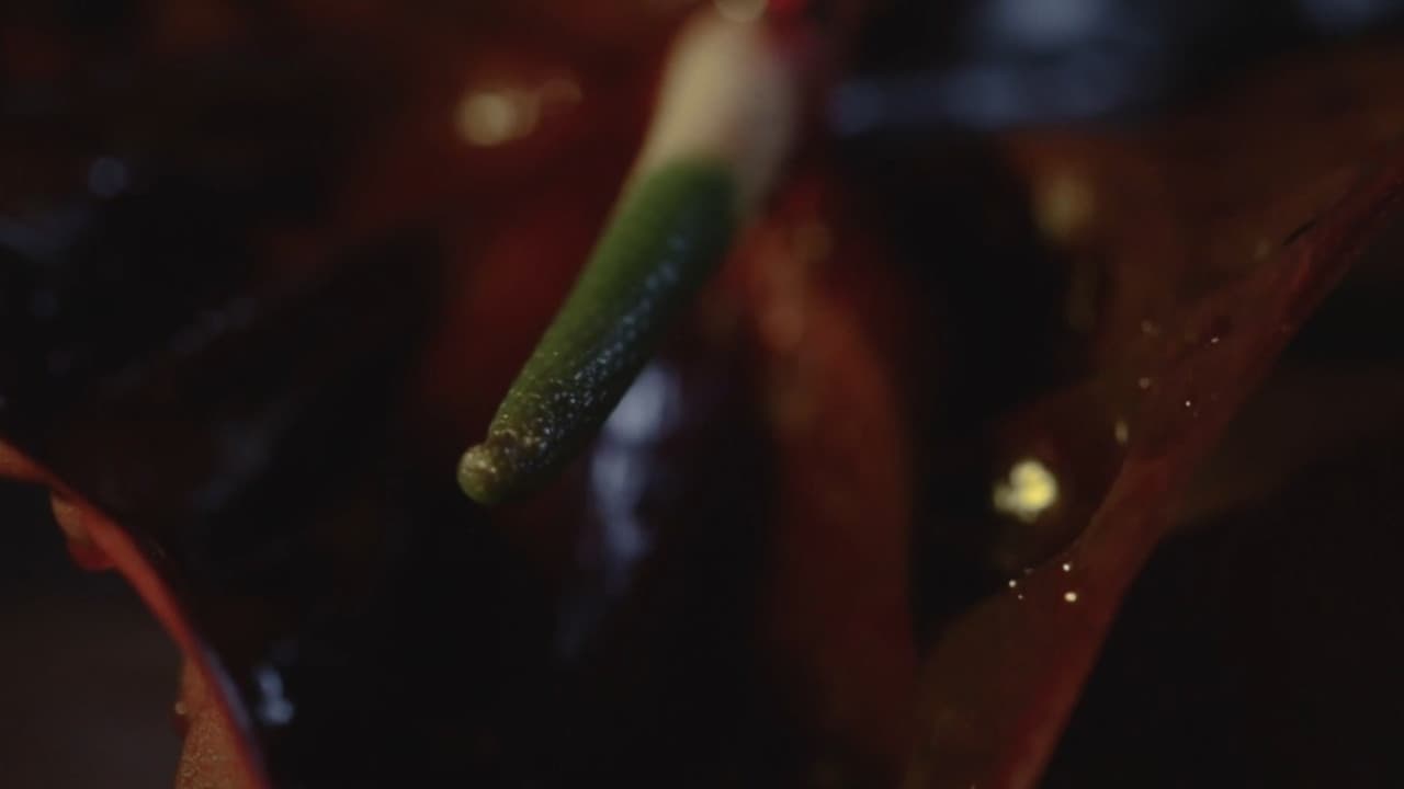 The Decadenceの背景画像