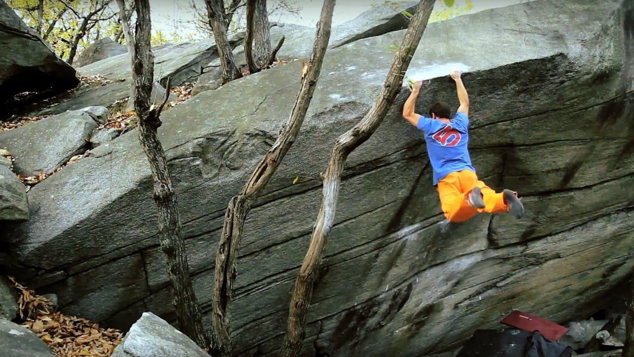 The Swiss Accountの背景画像