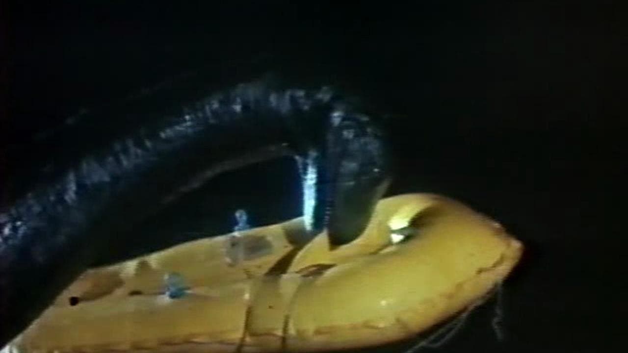 The Loch Ness Horrorの背景画像