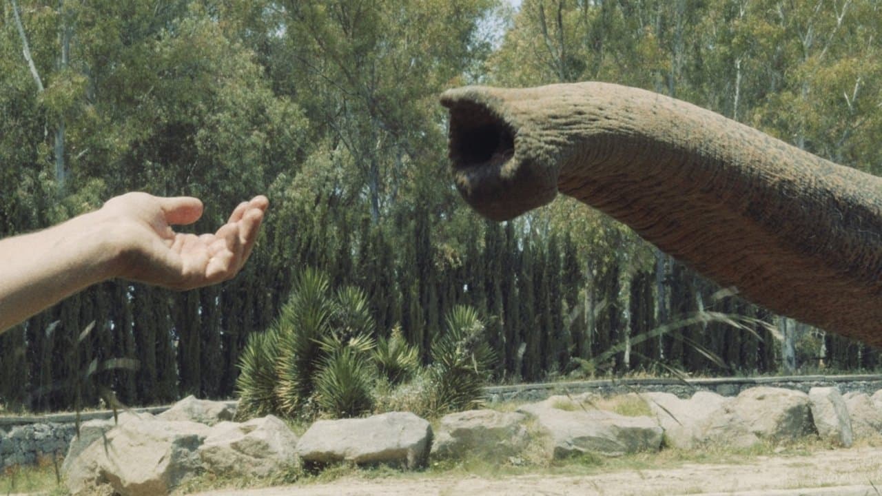 Unutma Biçimleriの背景画像